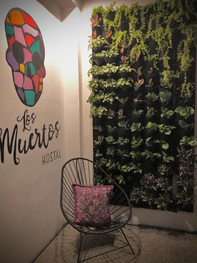 פוארטו ואלארטה Los Muertos Hostal מראה חיצוני תמונה